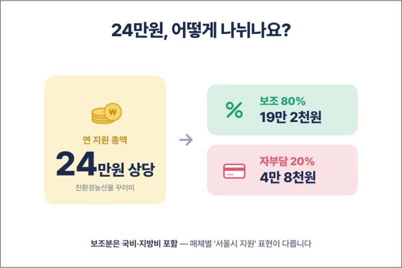 임산부 지원 금액 정리