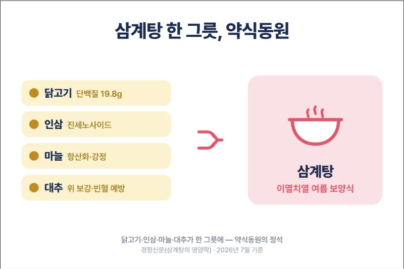 삼계탕의 효능