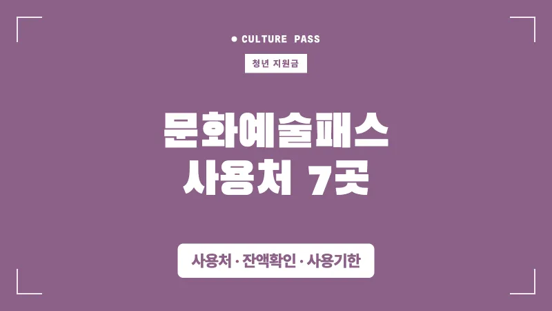 청년문화예술패스 사용처, 잔액확인 총정리 대표 이미지